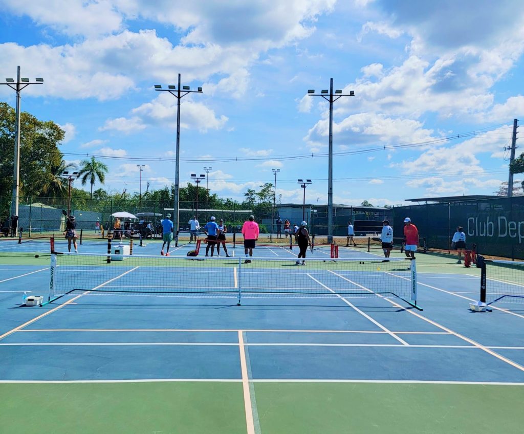 teren-pickleball-jucatori